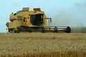 Cover photo for Post-Harvest Handling of Organic Grain