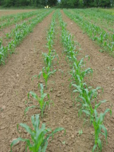 Cover photo for Help us serve you better with this survey