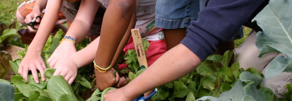 Weeding the garden