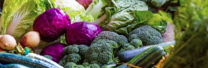 a variety of vegetable produce