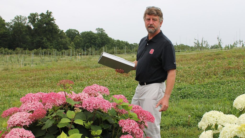 Dr. Tom Ranney, ornamentals plant breeder