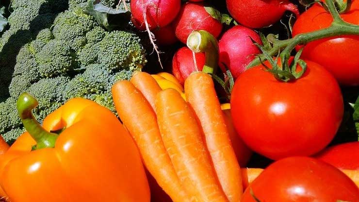 close up photo display with a variety of vegetables