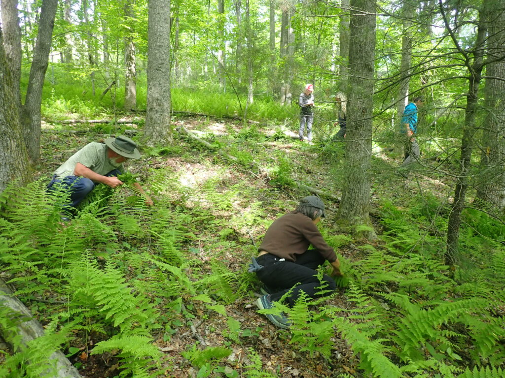 Horticulture | NC State Extension